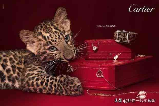 bvlgari怎么讀(bvlgari怎么讀英語(yǔ)啥意思)插圖9