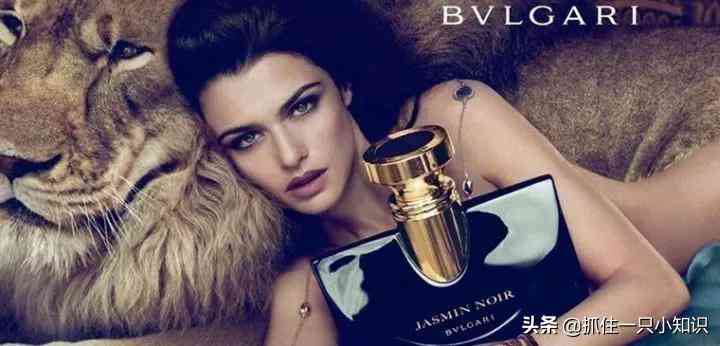 bvlgari怎么讀(bvlgari怎么讀英語(yǔ)啥意思)插圖17