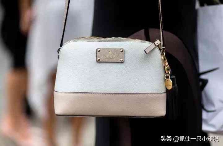 bvlgari怎么讀(bvlgari怎么讀英語(yǔ)啥意思)插圖28