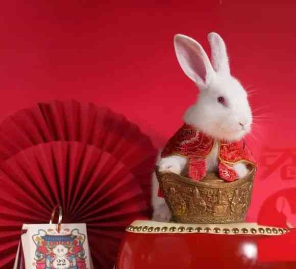 紅瑪瑙手鏈(紅瑪瑙手鏈的功效與作用佩戴禁忌)