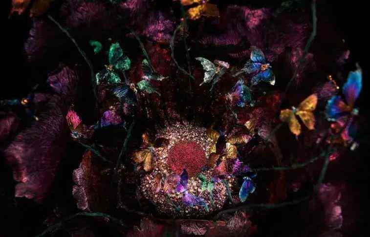 高級(jí)珠寶品牌(高級(jí)珠寶品牌目標(biāo)人群)插圖60