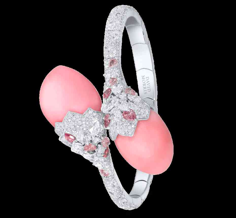 高級(jí)珠寶品牌(高級(jí)珠寶品牌目標(biāo)人群)插圖62