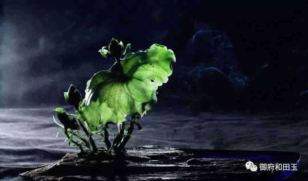 上海御府和田玉(上海和田玉專賣店排名)插圖20