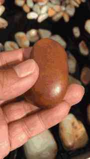 籽料多少錢一克(和田黃玉籽料多少錢一克)插圖11