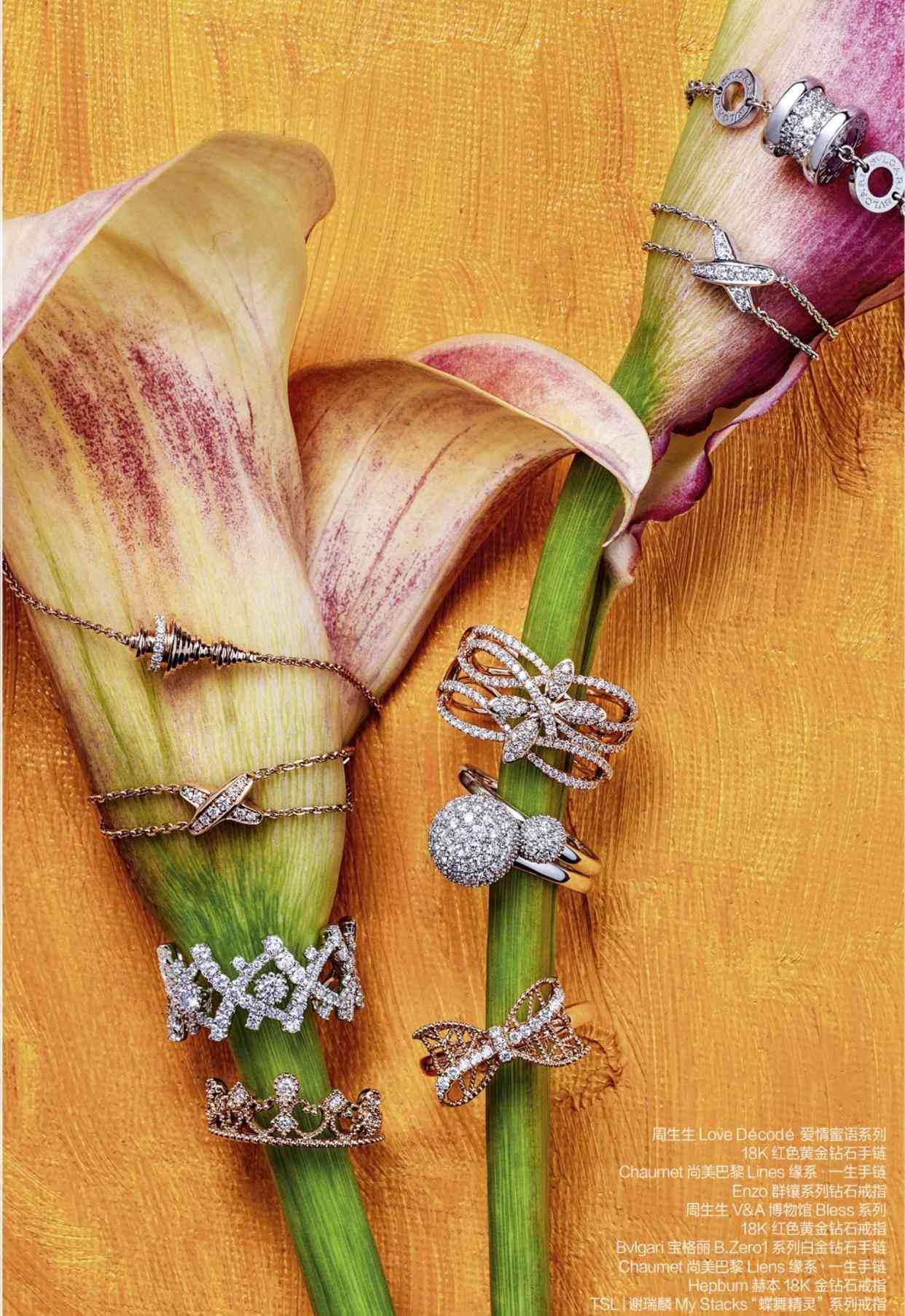 ido和周大福鉆戒哪個(gè)好(ido和周大福鉆戒哪個(gè)好貼吧)插圖2