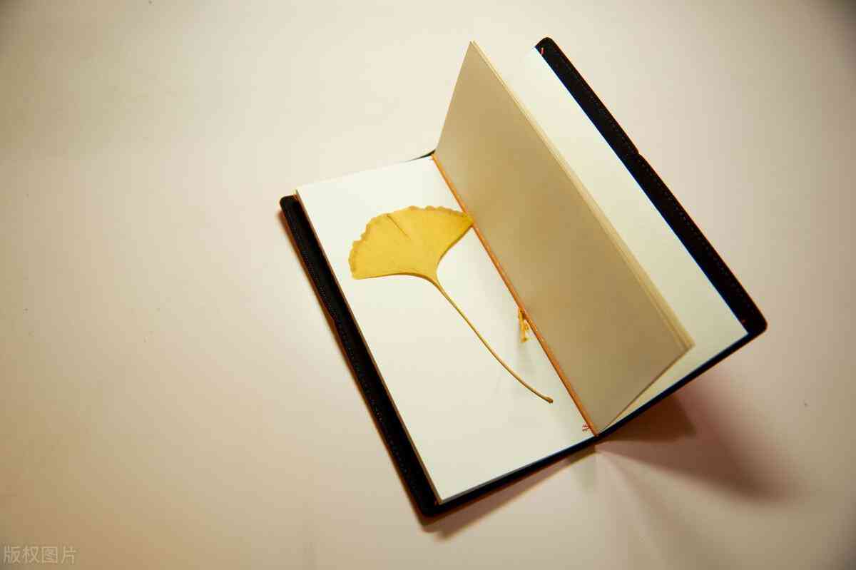 送項鏈的含義是什么(情侶送項鏈的含義是什么)插圖2