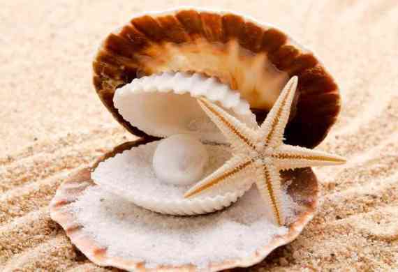 海水珍珠好還是淡水珍珠好(佩戴海水珍珠好還是淡水珍珠好)插圖1