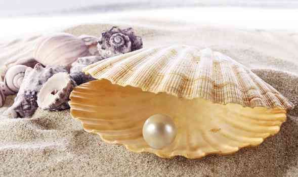 海水珍珠好還是淡水珍珠好(佩戴海水珍珠好還是淡水珍珠好)插圖3