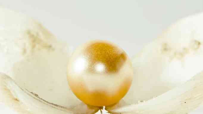 海水珍珠好還是淡水珍珠好(佩戴海水珍珠好還是淡水珍珠好)插圖4