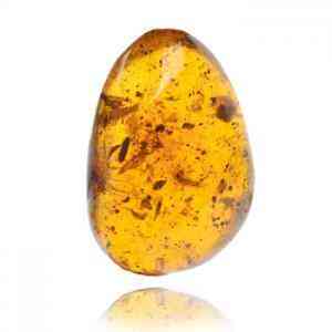 琥珀的價格是多少一克(琥珀市場價多少錢一克)插圖2