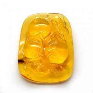 琥珀的價格是多少一克(琥珀市場價多少錢一克)插圖3