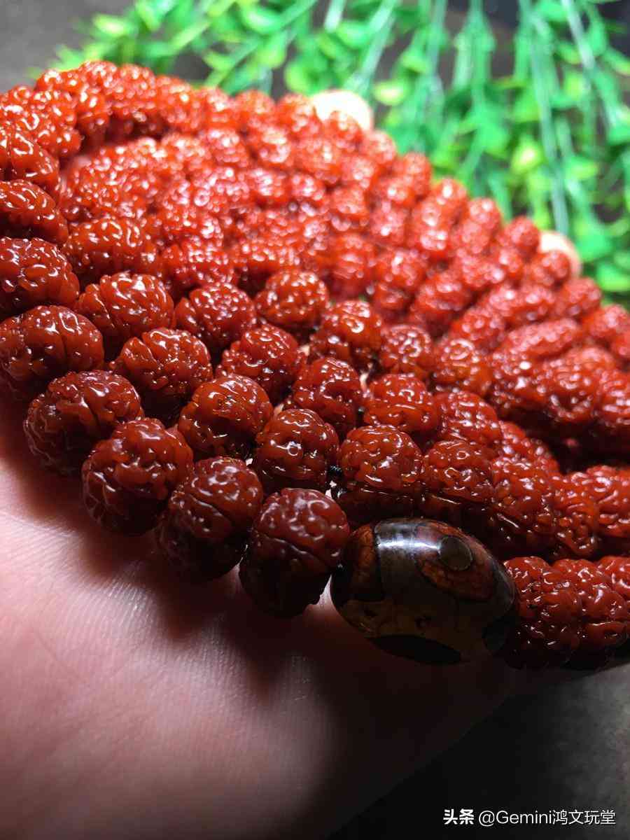 金剛菩提子怎么盤(金剛菩提子怎么盤玩)插圖2