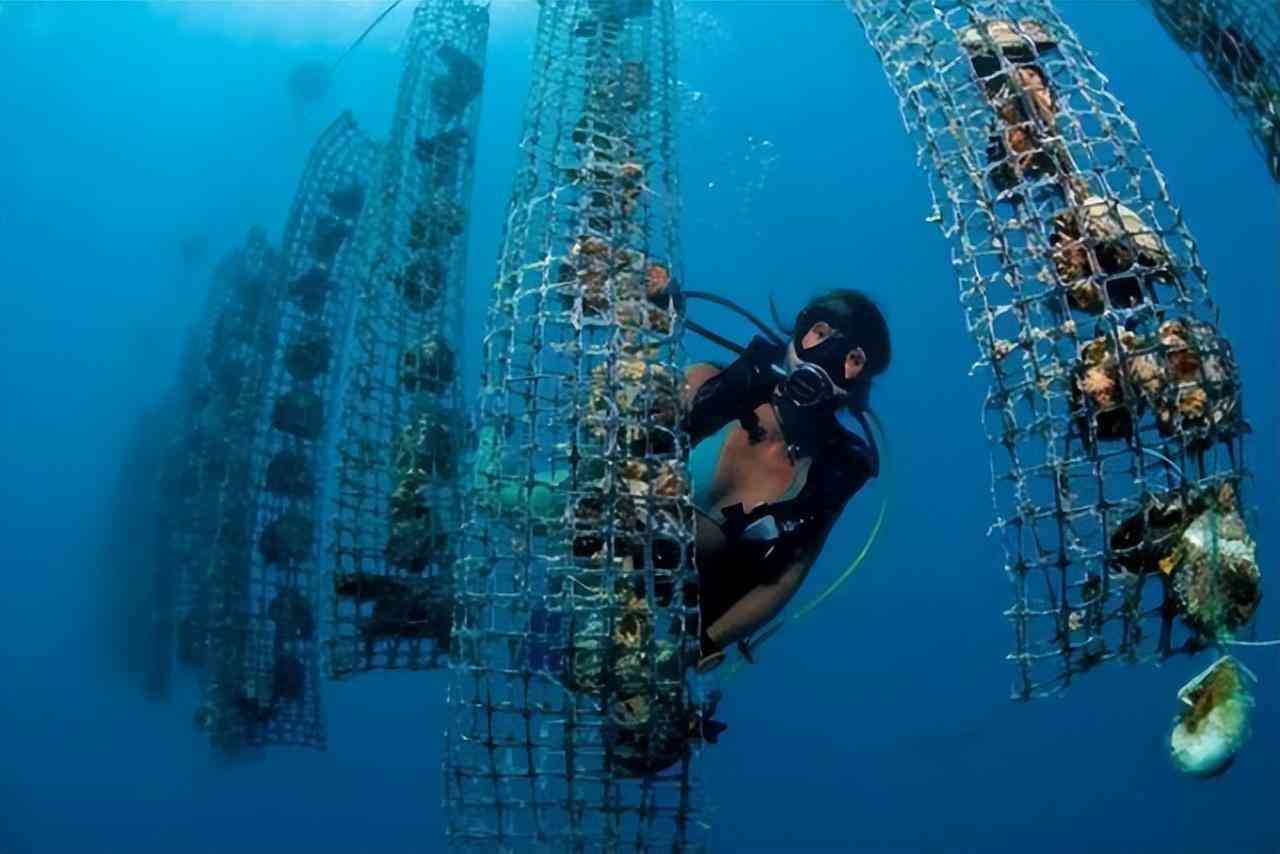 白色珍珠項鏈多少錢(白色珍珠項鏈戴久了會變色嗎)插圖7