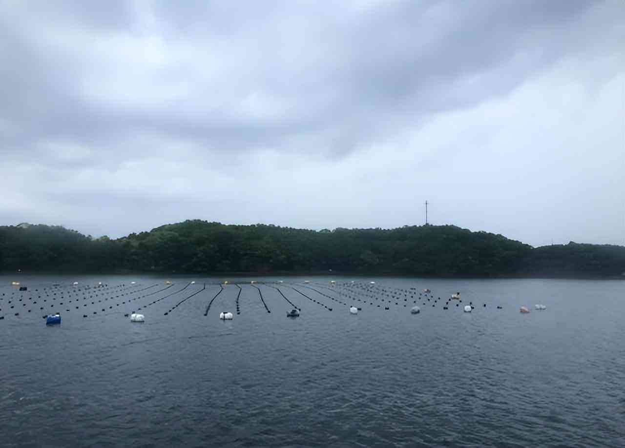 白色珍珠項鏈多少錢(白色珍珠項鏈戴久了會變色嗎)插圖8