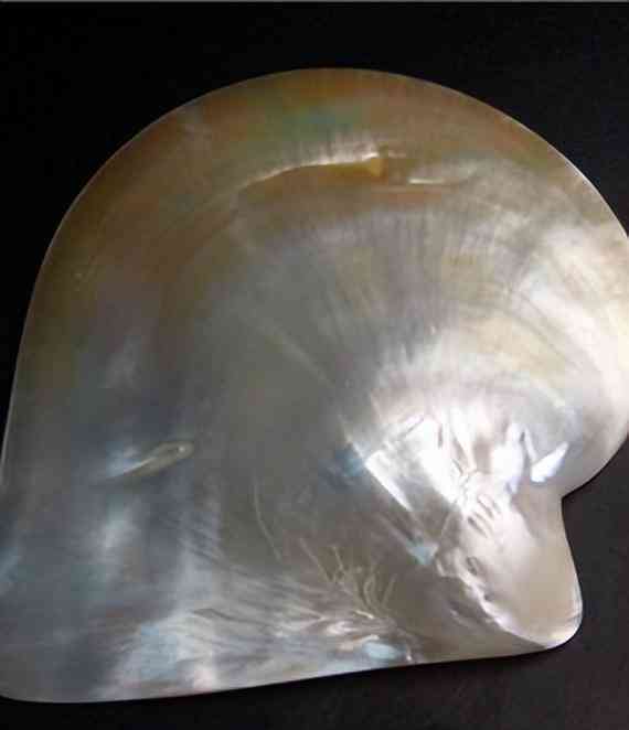 白色珍珠項鏈多少錢(白色珍珠項鏈戴久了會變色嗎)插圖9