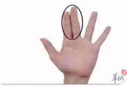 1克等于多少毫升(180克等于多少毫升)插圖5