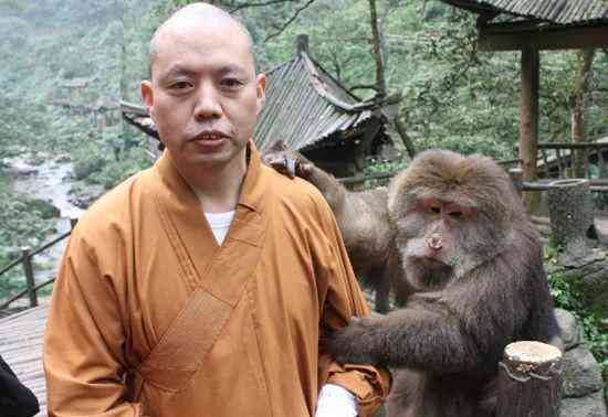 真正的僧人用什么佛珠(最有靈性的佛珠)插圖3