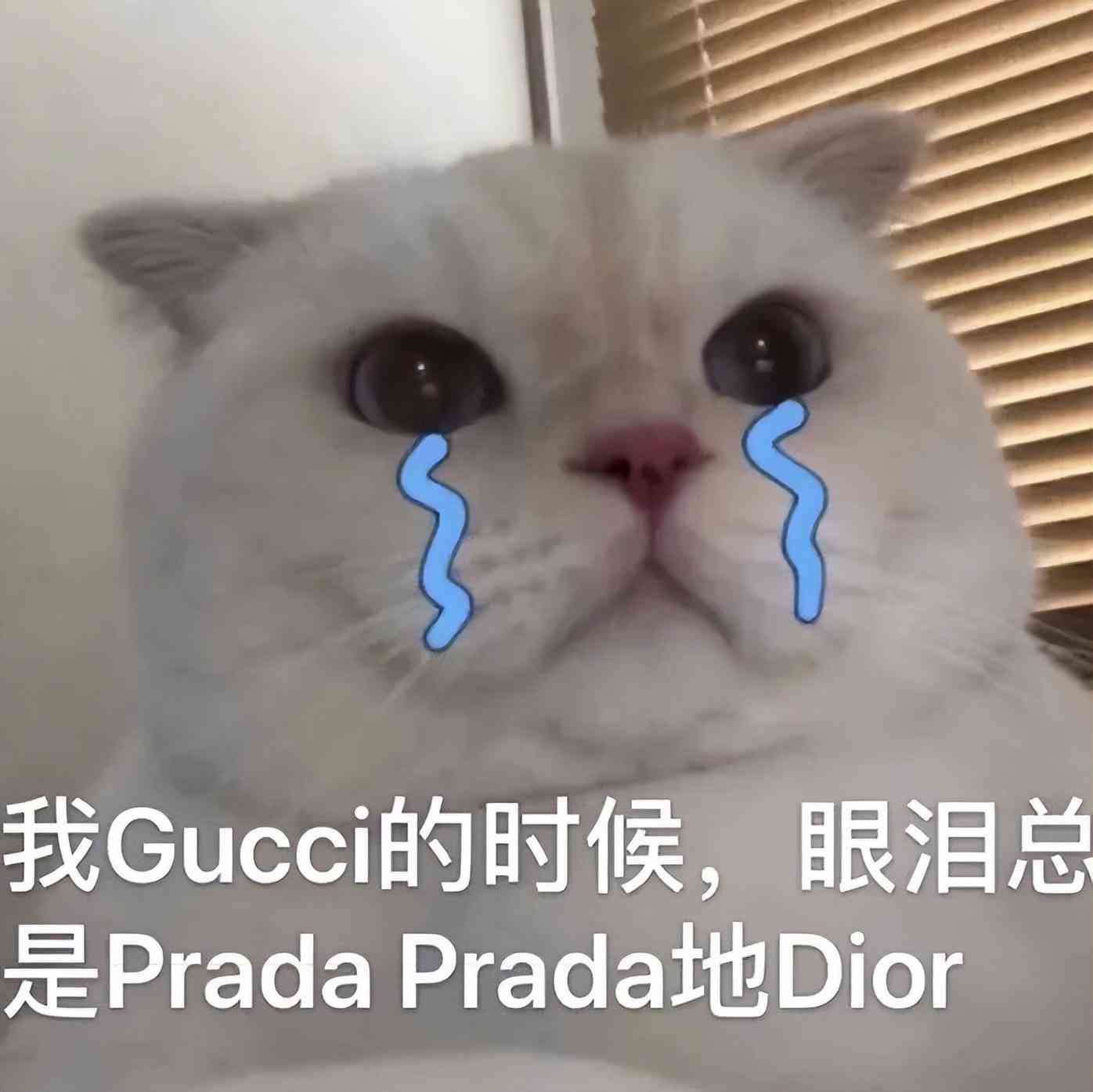 寶格麗戒指什么材質(zhì)(寶格麗戒指貴不貴)插圖6