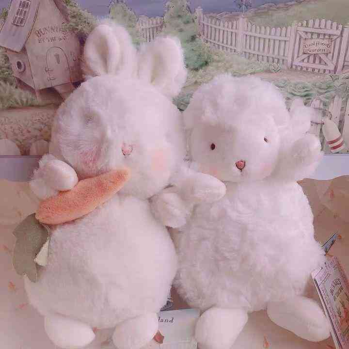 小眾禮物高級(jí)不貴(小眾又高級(jí)的禮物)插圖1