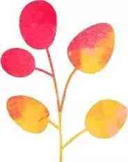 通靈珠寶代言人(通靈珠寶代言人有哪些)插圖10