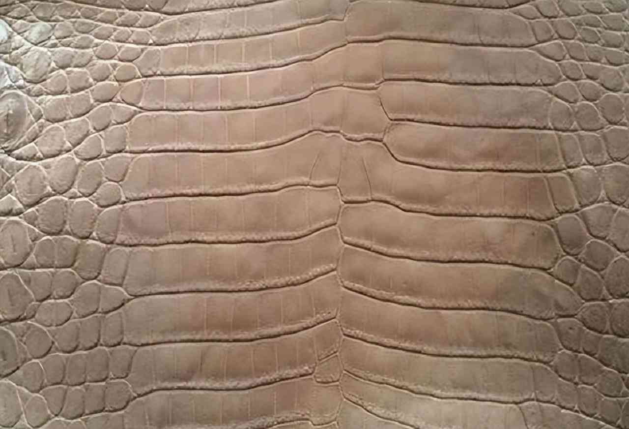 世界十大奢侈品牌包包排行(一線二線三線奢侈品牌包包)插圖4