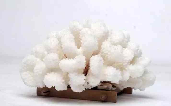 紫水晶和黃水晶哪個(gè)更招財(cái)(黃水晶適合什么屬相的人)插圖27