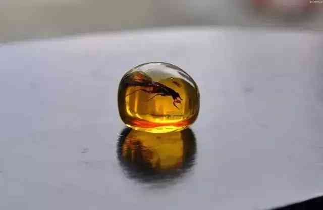 紫水晶和黃水晶哪個(gè)更招財(cái)(黃水晶適合什么屬相的人)插圖37