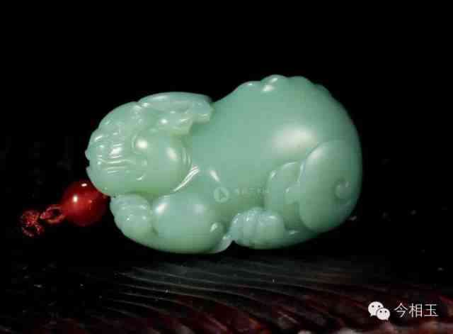 戴貔貅有什么講究(脖子上戴貔貅有什么講究)