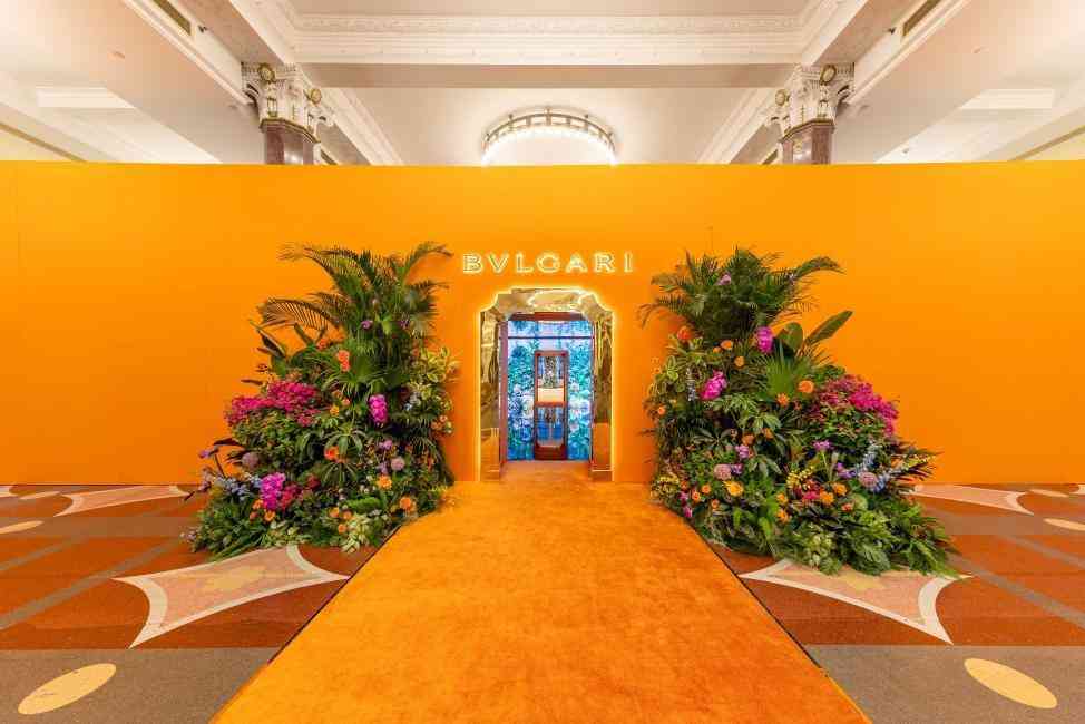 寶格麗項(xiàng)鏈慈善款(寶格麗項(xiàng)鏈慈善款是什么材質(zhì)的)