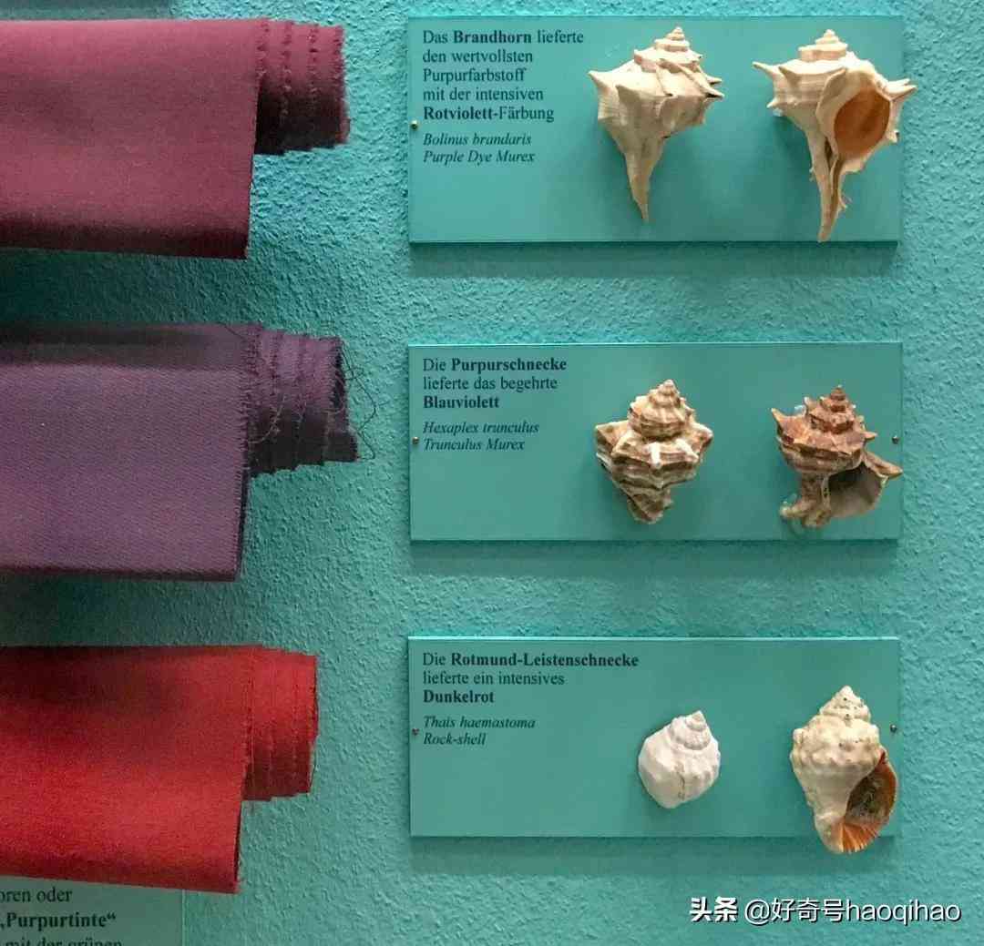 蒂芙尼藍(lán)和薄荷綠(蒂芙尼藍(lán)和薄荷綠圖片)插圖2