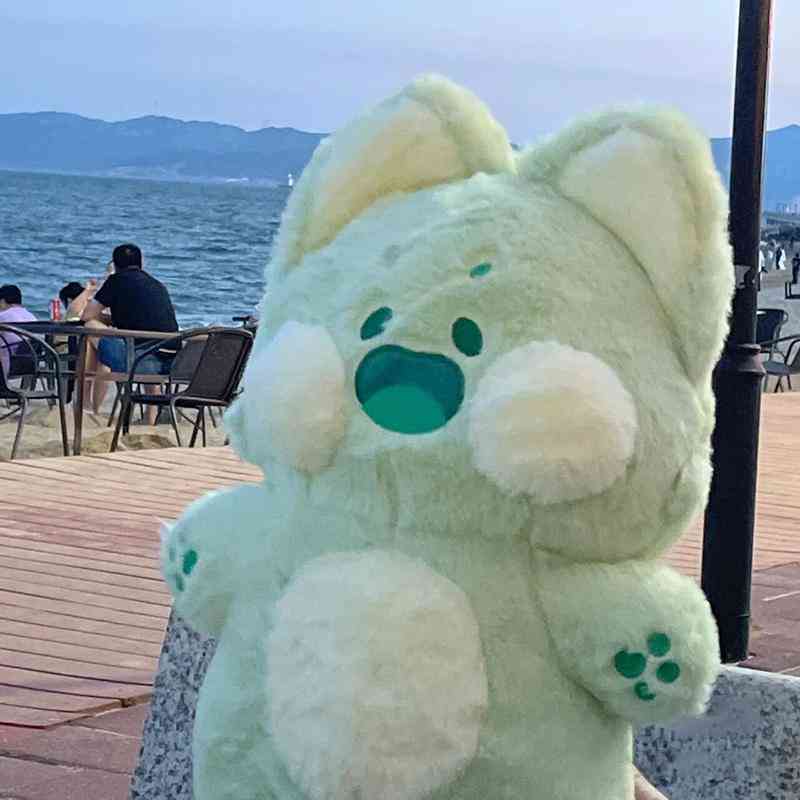 送給女士的生日禮物(送給女士的生日禮物祝福語)