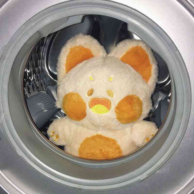 送給女士的生日禮物(送給女士的生日禮物祝福語(yǔ))插圖7