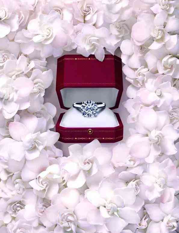 harrywinston對戒價格(harrywinston結(jié)婚對戒多少錢)插圖11