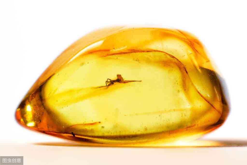 琥珀琥珀是怎樣形成的(琥珀是怎么形成的)