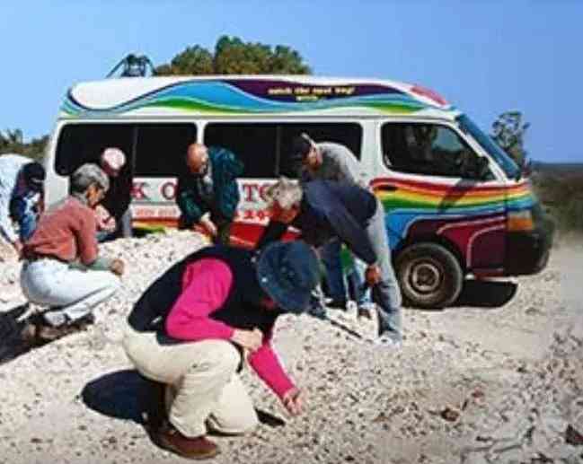 歐泊石真假辨別泡水(歐泊石怎么看好壞)插圖4