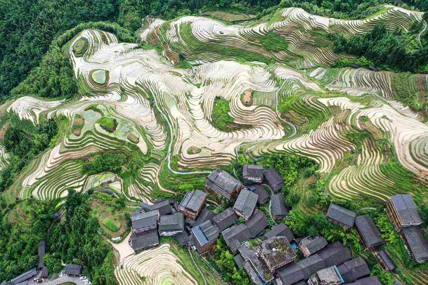 桂林雞血玉全是假的(三種女人不適合戴玉)