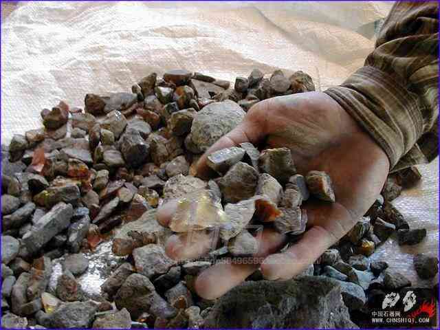 血琥珀的價格是多少一克(血琥珀價格多少錢一克)插圖7