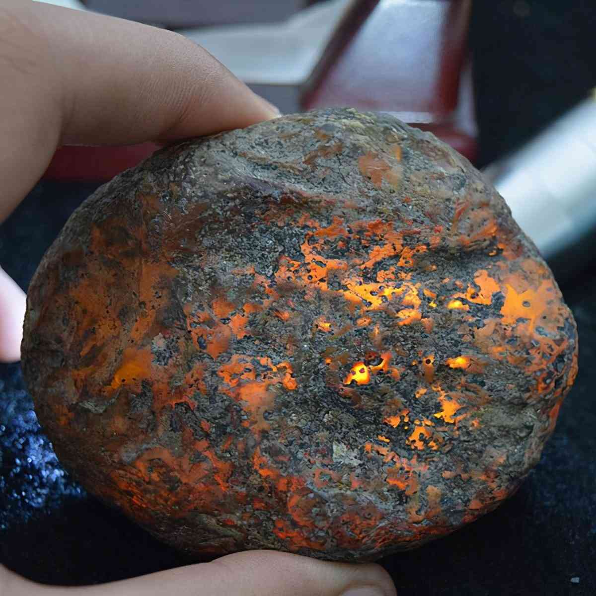 血琥珀的價格是多少一克(血琥珀價格多少錢一克)插圖8