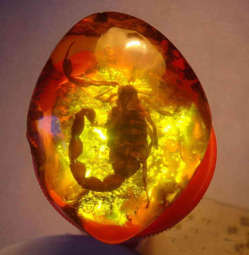 血琥珀的價格是多少一克(血琥珀價格多少錢一克)插圖18