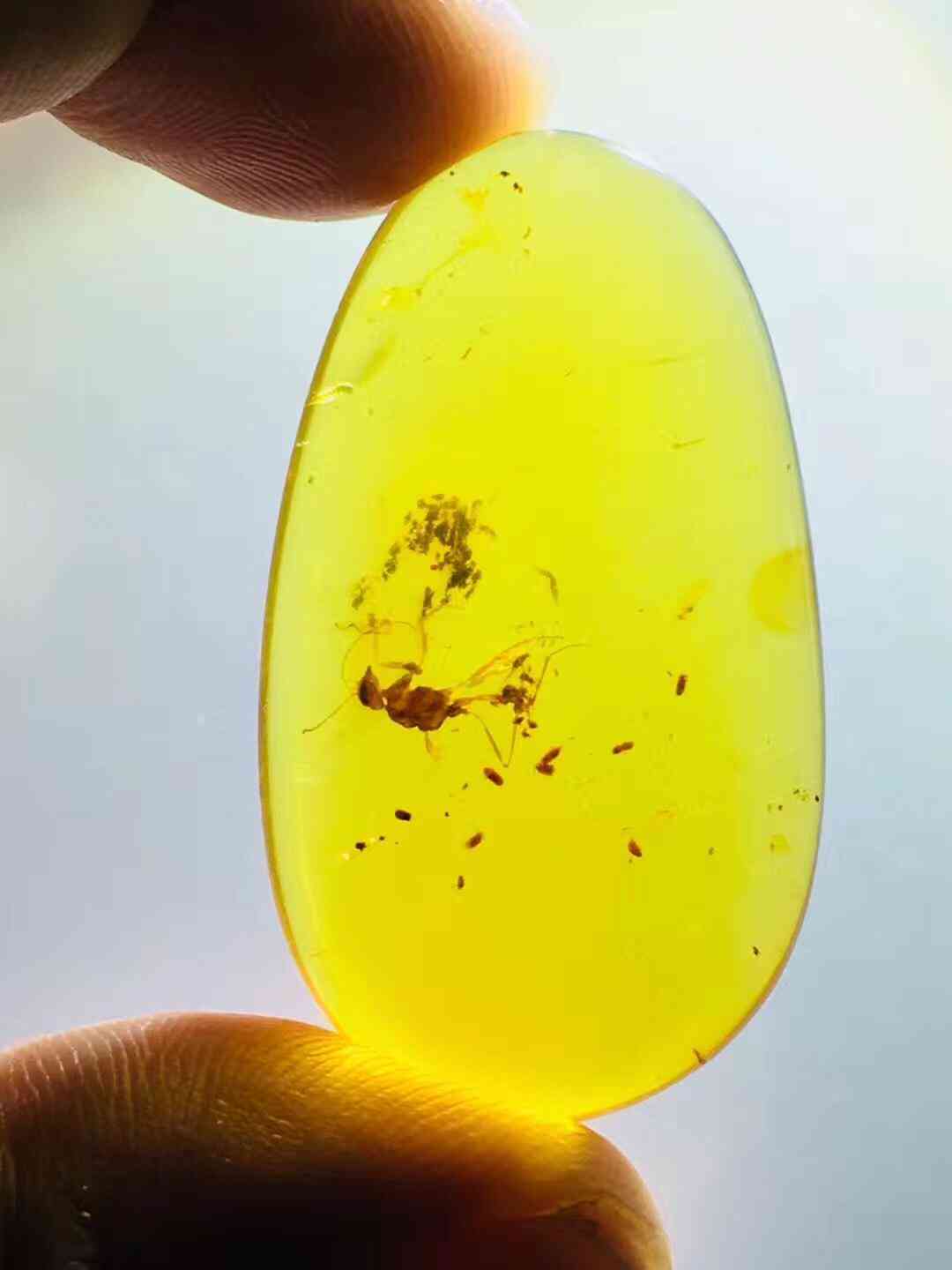 血琥珀的價格是多少一克(血琥珀價格多少錢一克)插圖20