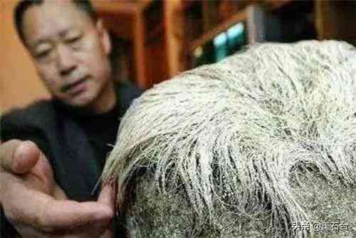 虎眼石價格一般多少(虎眼石的寓意和功效)插圖6