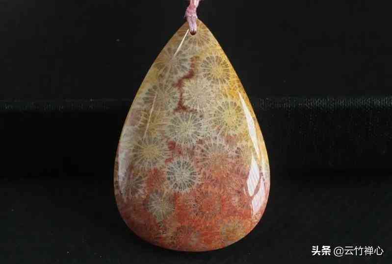 如何鑒別紅珊瑚的真?zhèn)?紅珊瑚現(xiàn)在的市場(chǎng)價(jià)多少一克)插圖1