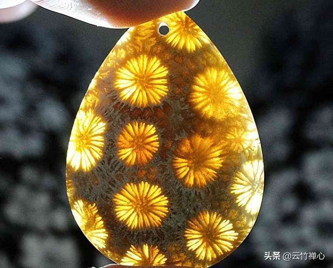 如何鑒別紅珊瑚的真?zhèn)?紅珊瑚現(xiàn)在的市場(chǎng)價(jià)多少一克)插圖2