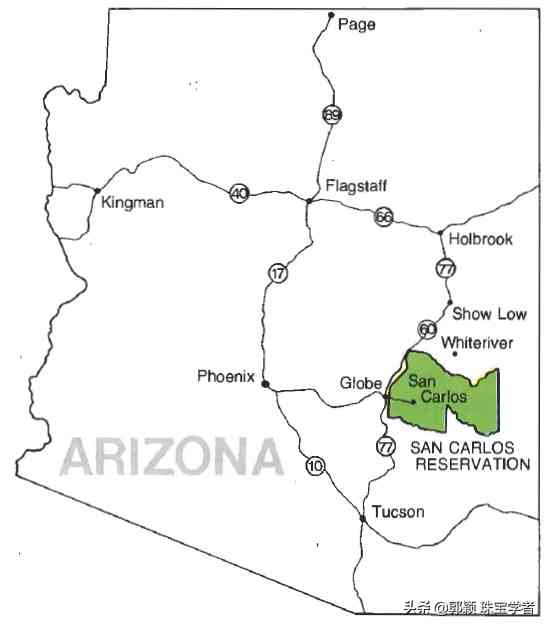 橄欖石有收藏價值嗎(橄欖石值多少錢)插圖1