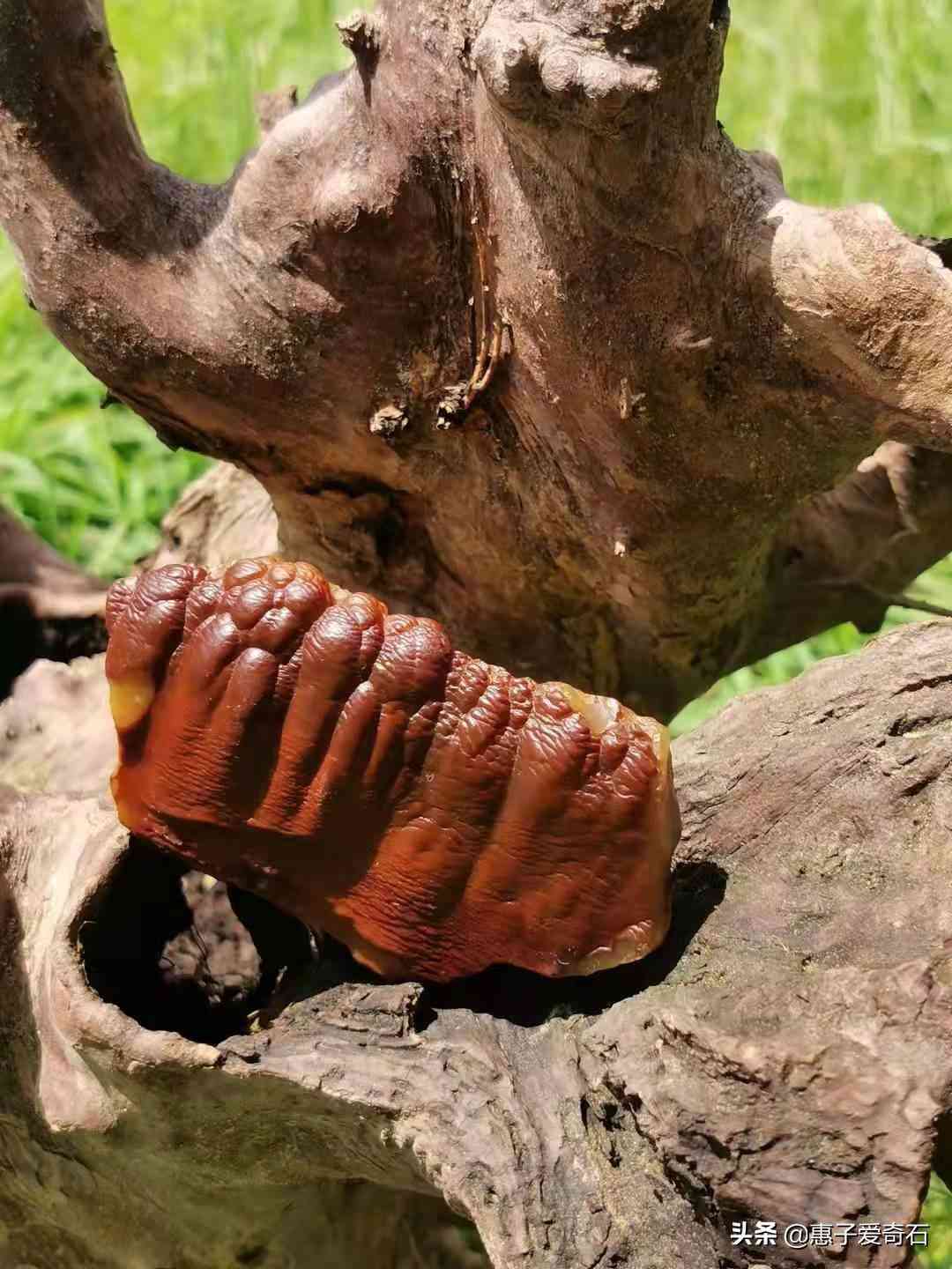 黃蠟石價(jià)格每克多少錢(黃蠟石的市場價(jià)格)插圖19