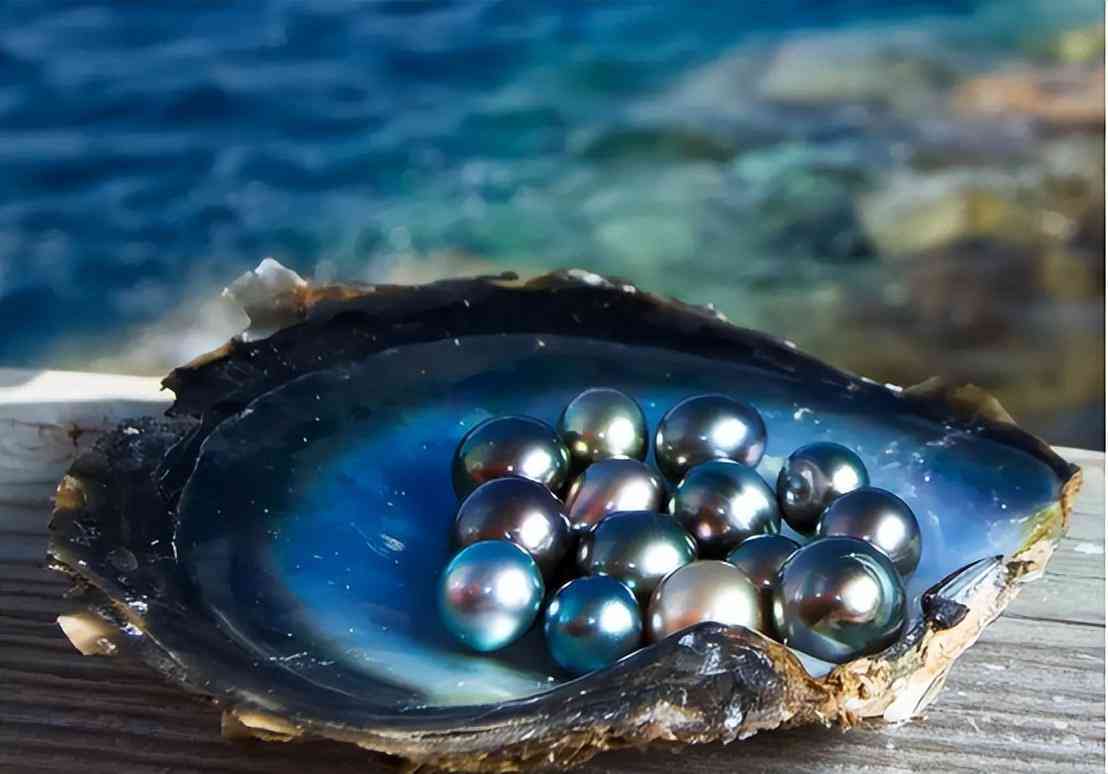 什么樣的珍珠有收藏價(jià)值(什么樣子的珍珠適合收藏)