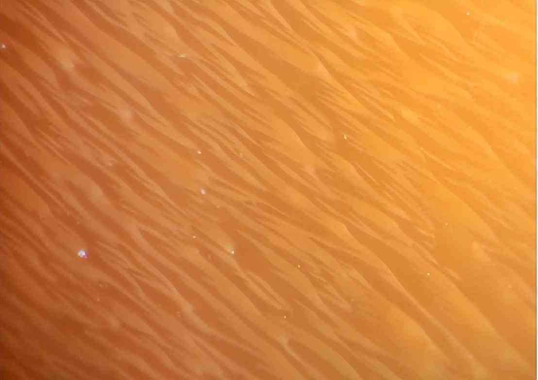 什么樣的珍珠有收藏價(jià)值(什么樣子的珍珠適合收藏)插圖3