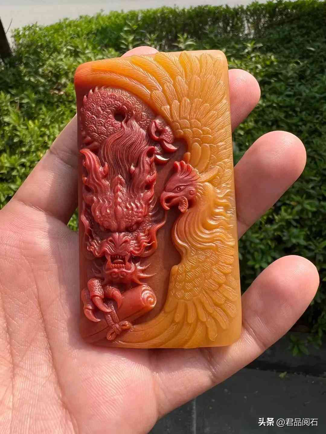 黃龍玉好不好(黃龍玉好不好養(yǎng))插圖7