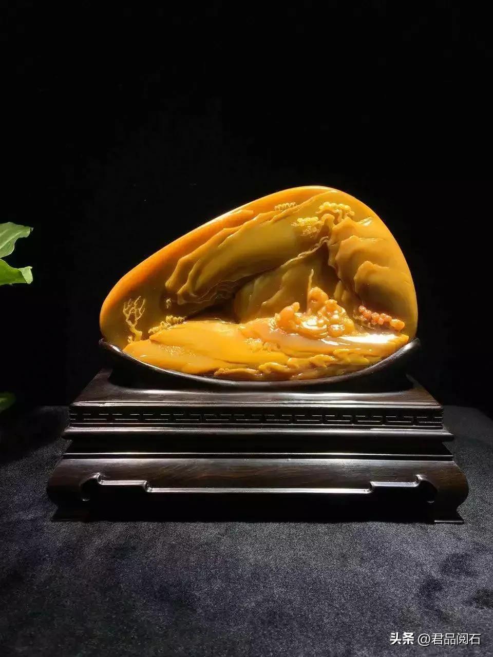 黃龍玉好不好(黃龍玉好不好養(yǎng))插圖17