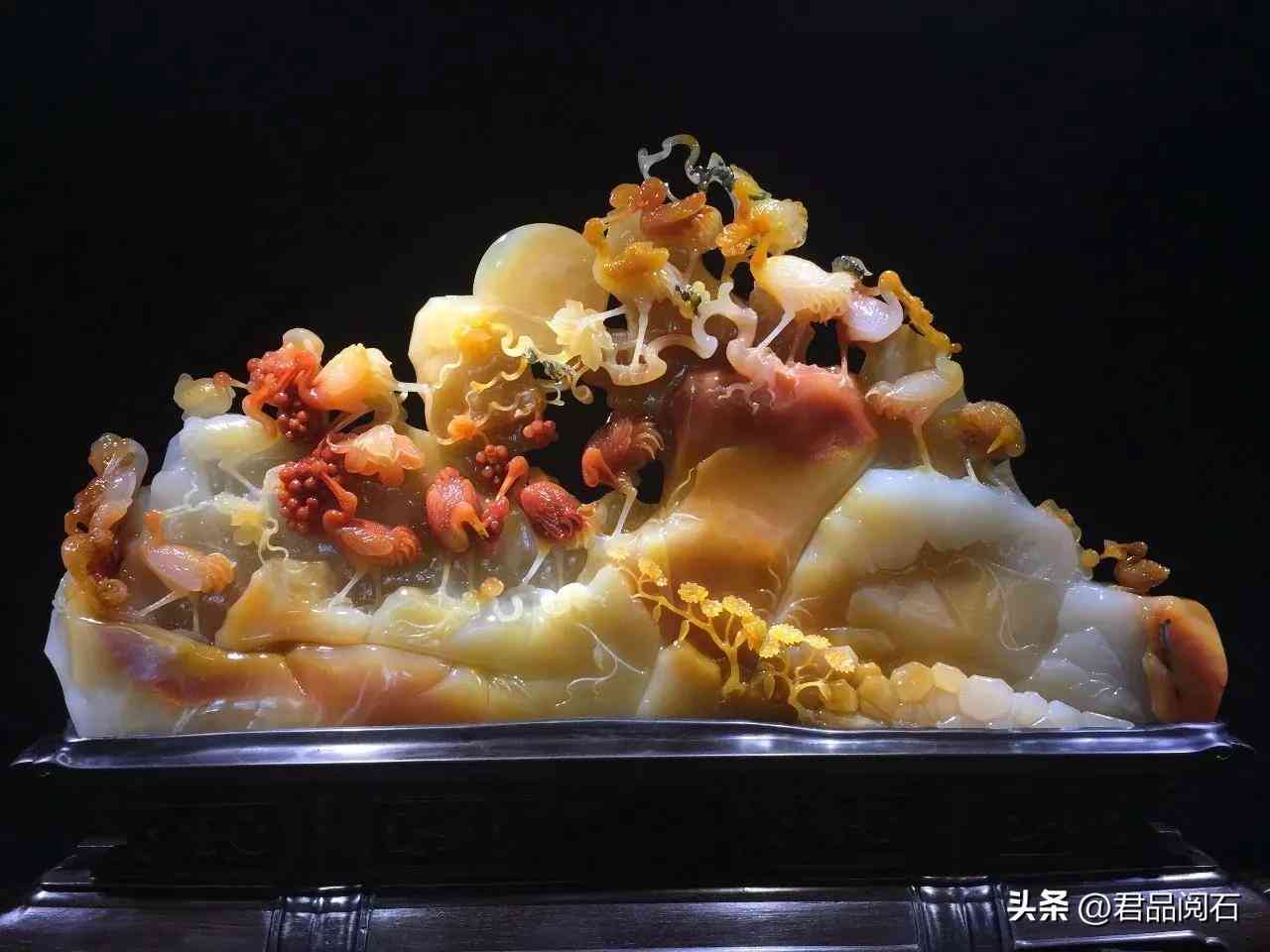 黃龍玉好不好(黃龍玉好不好養(yǎng))插圖20